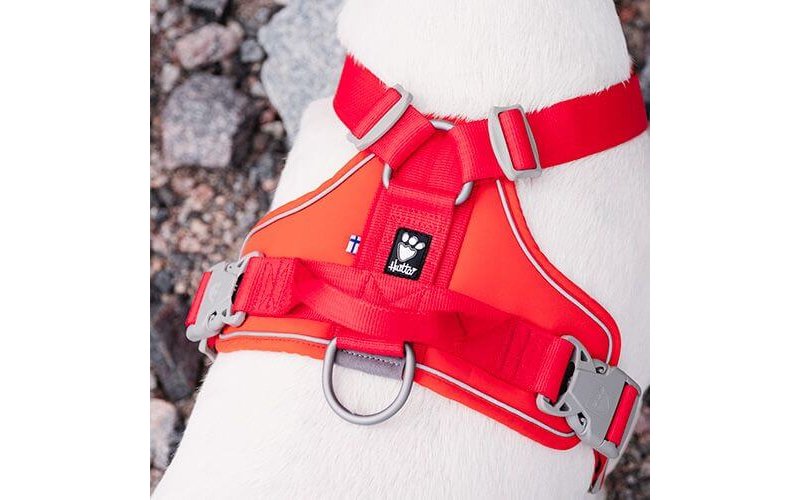 Hurtta Pettorina W/E Warrior Certificato Ufficiale Hurtta Italia