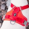Hurtta Pettorina W/E Warrior Certificato Ufficiale Hurtta Italia