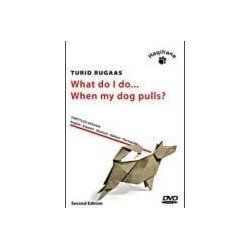 Haqihana DVD : "What do I do...When my dog pulls" - (che fare... se il mio cane tira?)