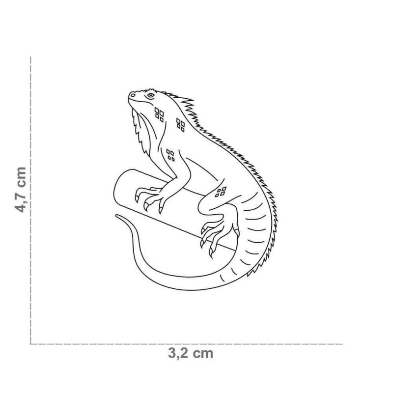 Medaglietta Iguana - AquaZooMania Shop