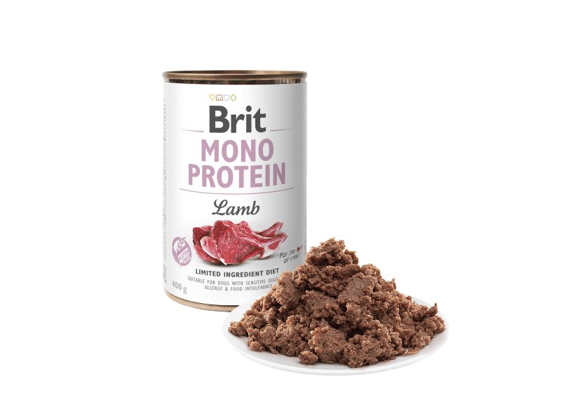 Brit Mono Protein Lamb 400g umido cane con agnello