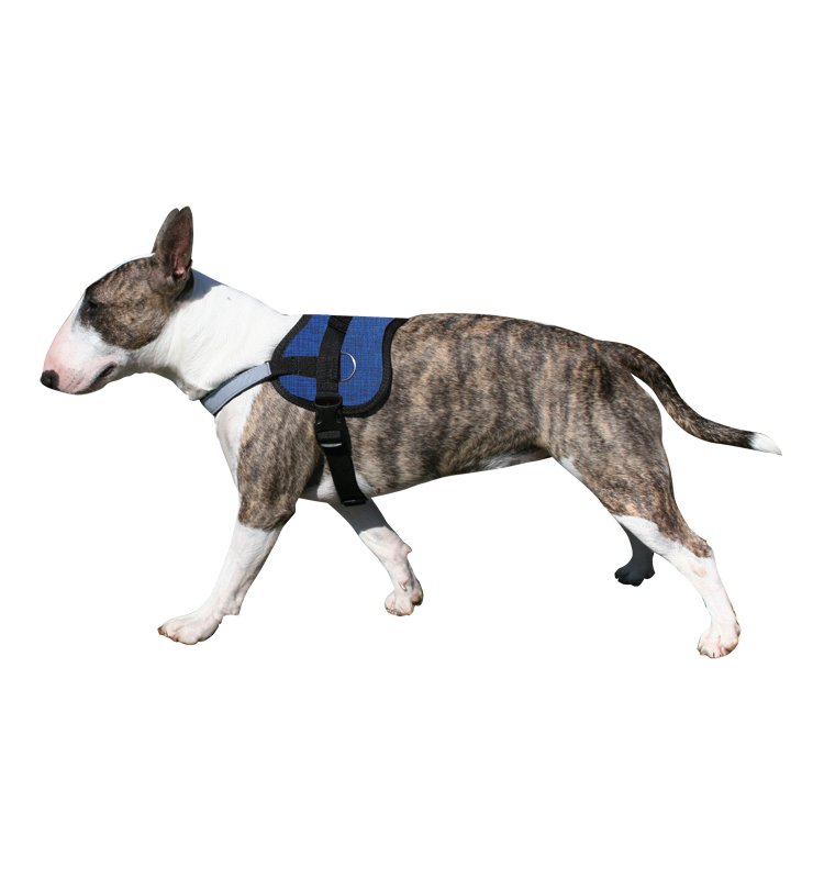 Aqua Coolkeeper Pettorina Survival rinfrescante Pacific Blue per cane