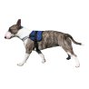 Aqua Coolkeeper Pettorina Survival rinfrescante Pacific Blue per cane