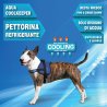 Aqua Coolkeeper Pettorina Survival rinfrescante Pacific Blue per cane