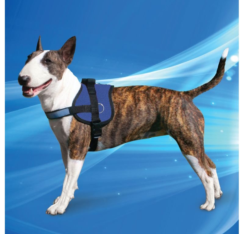 Aqua Coolkeeper Pettorina Survival rinfrescante Pacific Blue per cane
