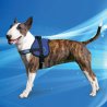 Aqua Coolkeeper Pettorina Survival rinfrescante Pacific Blue per cane