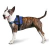 Aqua Coolkeeper Pettorina Survival rinfrescante Pacific Blue per cane