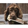 Corno di Cervo Tagliato M - 51/80gr snack cane