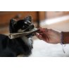 Corno di Cervo Tagliato M - 51/80gr snack cane