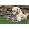 Corno di Cervo Tagliato M - 51/80gr snack cane