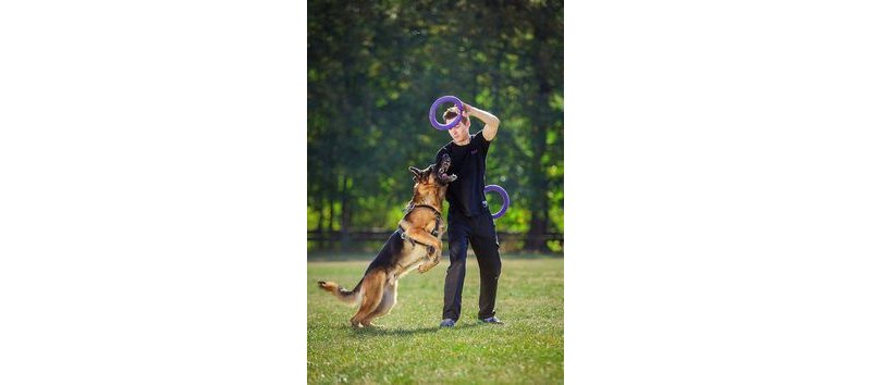 Ferplast Puller Maxi per addestramento del cane