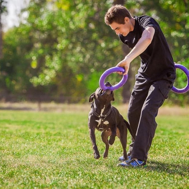 Ferplast Puller Maxi per addestramento del cane