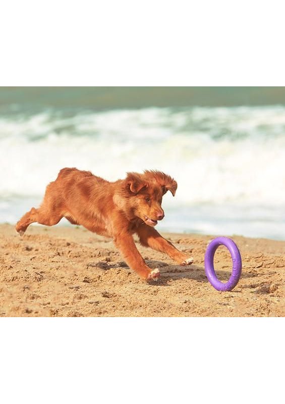 Ferplast Puller Maxi per addestramento del cane