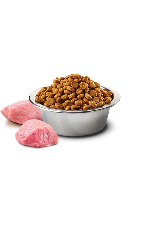 N&D Adult Cat Agnello e Mirtillo Grain Free crocchette gatto
