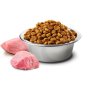 N&D Adult Cat Agnello e Mirtillo Grain Free crocchette gatto