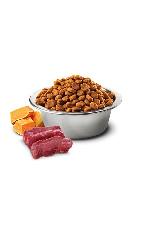N&D Adult Cervo, Zucca e Mela 1,5kg Grain Free crocchette gatto
