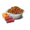 N&D Adult Cervo, Zucca e Mela 1,5kg Grain Free crocchette gatto