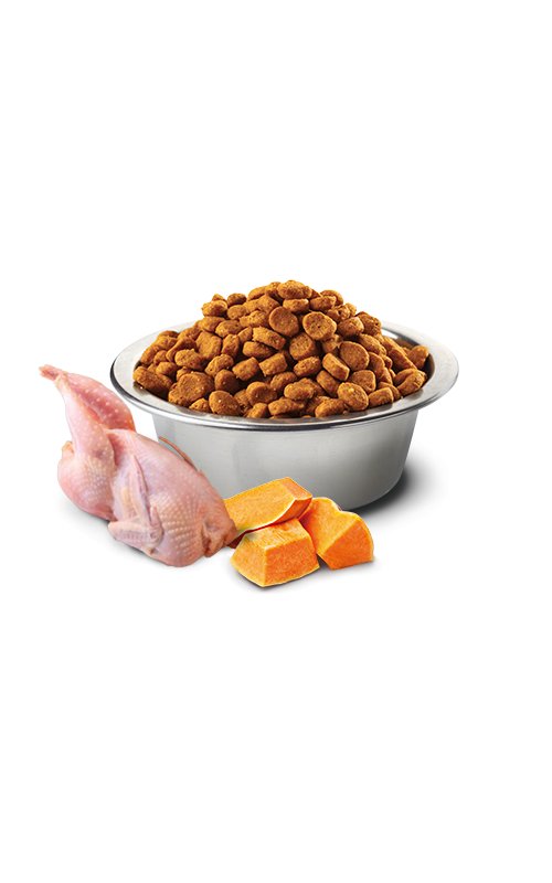 N&D Adult Quaglia, Zucca e Melograno 1,5kg Grain Free crocchette gatto
