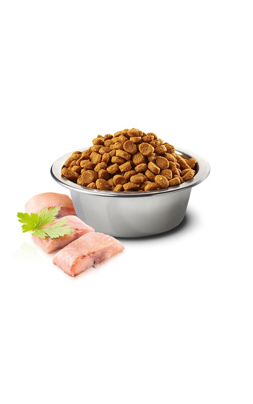 N&D Adult Cat Aringa e Arancia 1,5kg Grain Free crocchette gatto