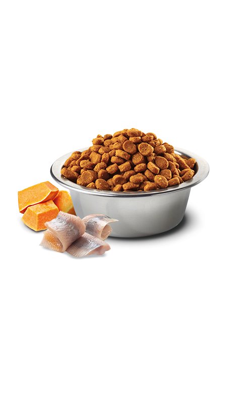 N&D Adult Cat Aringa, Zucca e Arancia Grain Free crocchette gatto