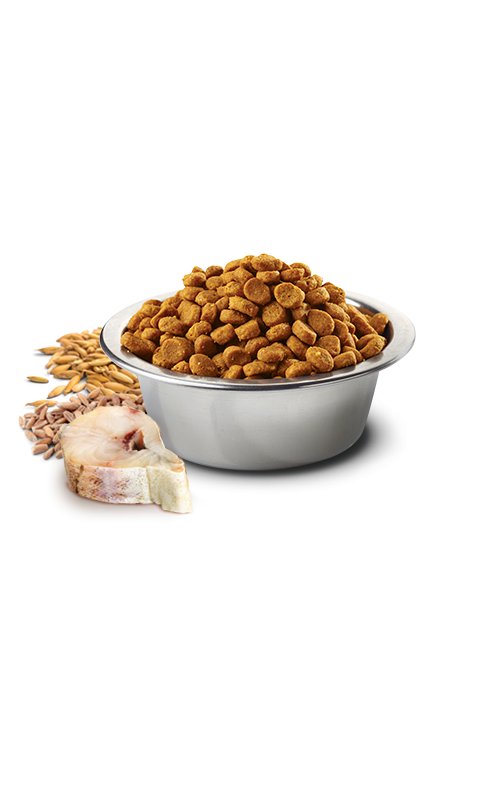 N&D Adult Merluzzo e Arancia Low Grain 1,5kg crocchette gatto