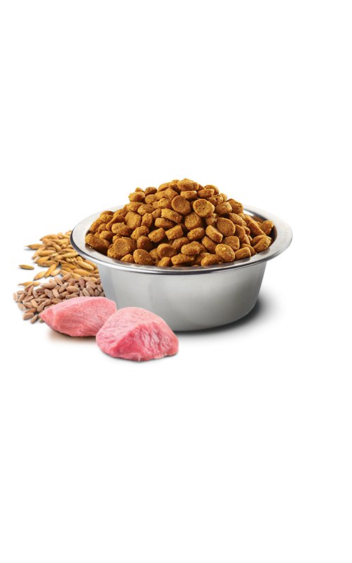 N&D Adult Pollo e Melograno Low Grain crocchette gatto