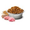 N&D Adult Pollo e Melograno Low Grain crocchette gatto