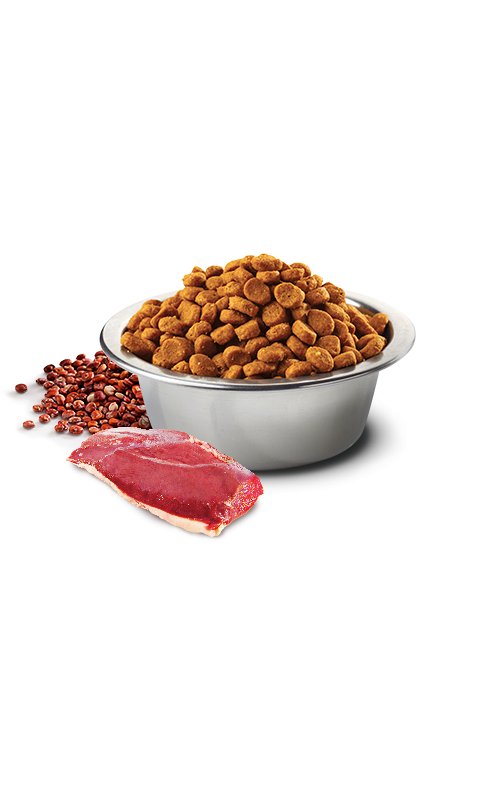 N&D Urinary Anatra Quinoa, Mirtillo e Camomilla 1,5kg Grain Free crocchette gatto