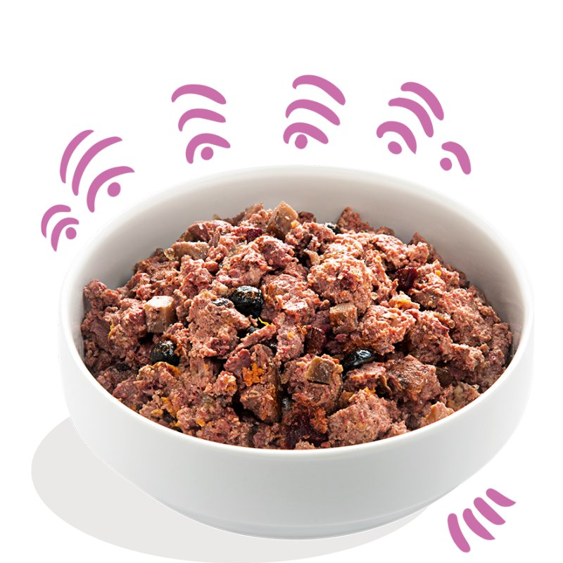 Edgard&Cooper Adult Selvaggina e Anatra 400g umido Edgard&Cooper Adult Selvaggina e Anatra 400g umido