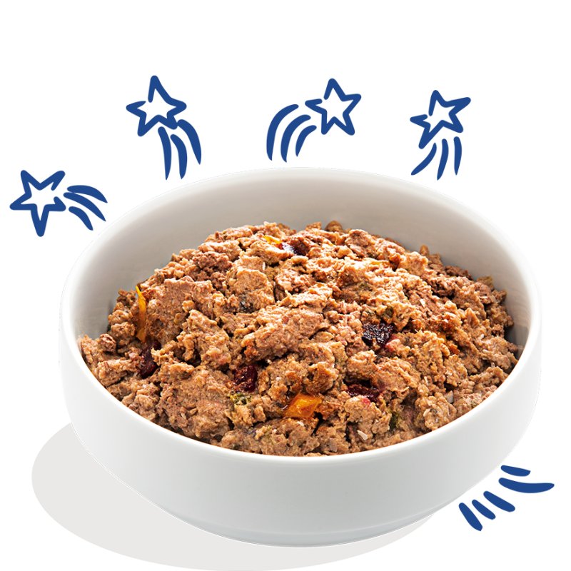 Edgard&Cooper Adult Salmone e Tacchino 400g umido