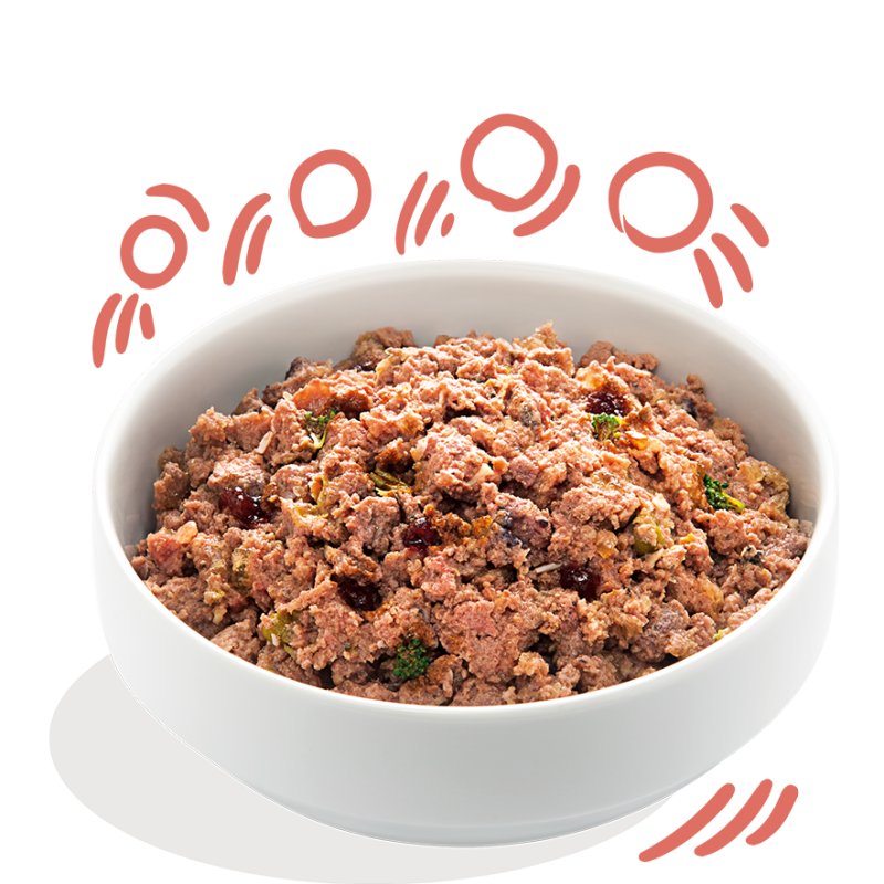 Edgard&Cooper Senior Pollo e Salmone 400g umido