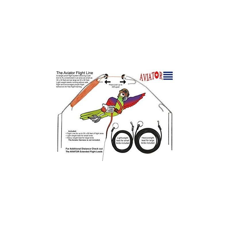 Linea Aviator Flight Line