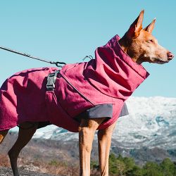 Hurtta Expedition Parka giacca termica per cani