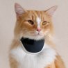 Balto BT Neck collare rigido ortopedico