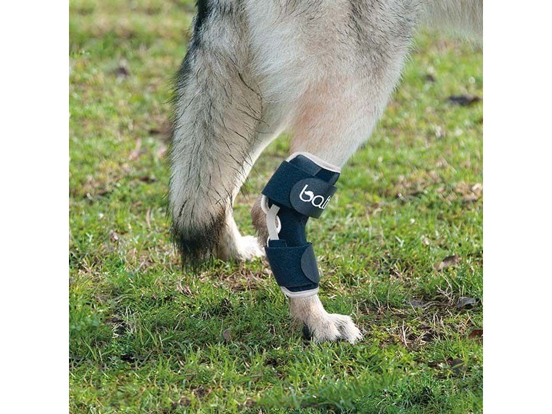 Balto BT Hock tutore per garretto