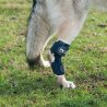 Balto BT Hock tutore per garretto