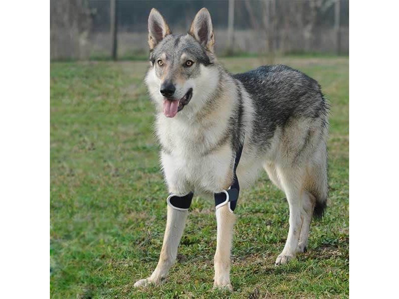Balto BT Soft Plus tutore per gomito doppio