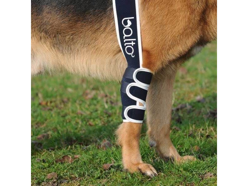 Balto BT Soft tutore per gomito