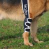 Balto BT Soft tutore per gomito