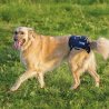 Balto BT Life tutore per la displasia dell'anca del cane