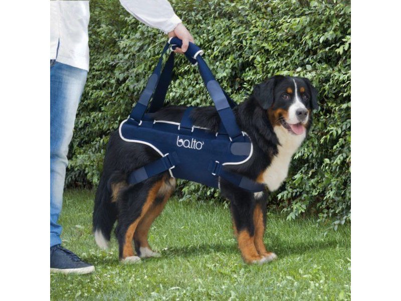 Balto BT Body Lift corpetto integrale con maniglia per cane