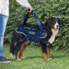 Balto BT Body Lift corpetto integrale con maniglia per cane