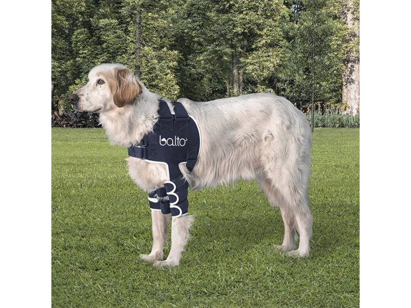 Balto BT Lux tutore per la stabilizzazione della spalla del cane