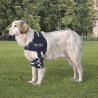 Balto BT Lux tutore per la stabilizzazione della spalla del cane