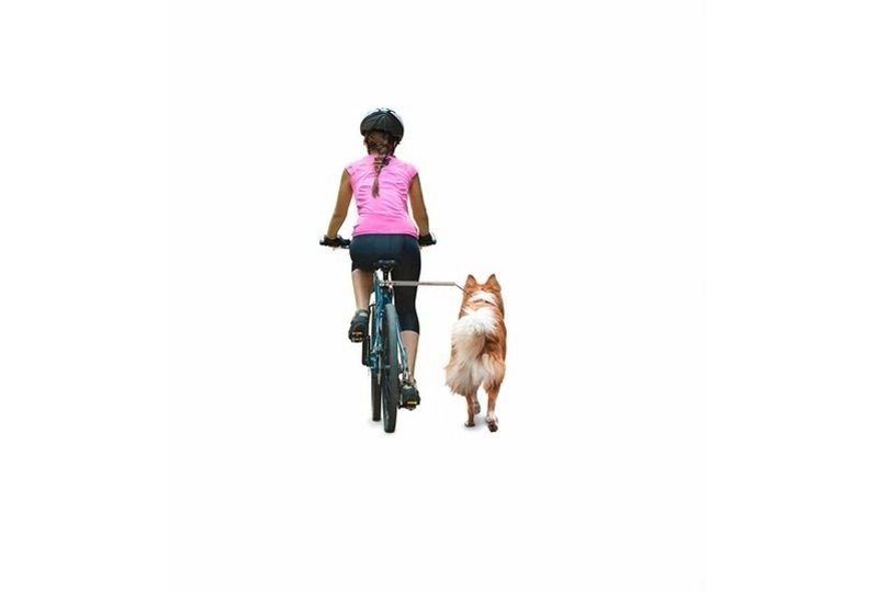 Camon Walky Dog Plus