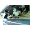 Camon WalkyLock Gancio per Portellone Auto