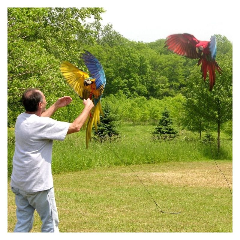 Pettorina Aviator Flight Line - pettorina per pappagalli - AquaZooM...