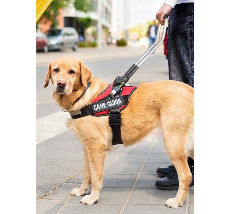 Julius K9 Cani Guida Harnesses