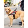 Julius K9 Cani Guida Harnesses