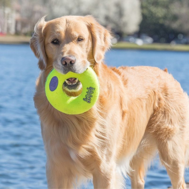 Kong Air Dog Squeaker Donut